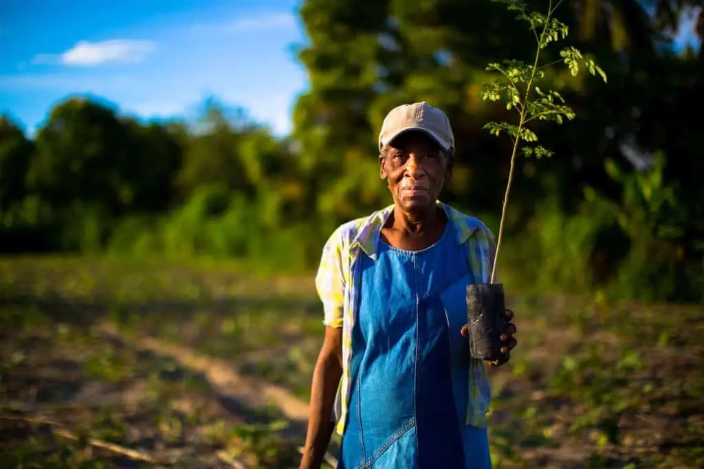 1809-Click-A-Tree-first-tree-planting-photos-from-reforestation-across-the-globe-023